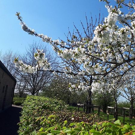 Vakantiehoeve De Klepperij Houthulst 외부 사진