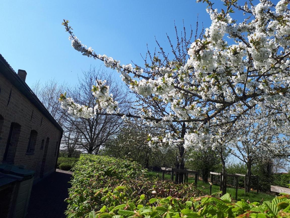 Vakantiehoeve De Klepperij Houthulst 외부 사진